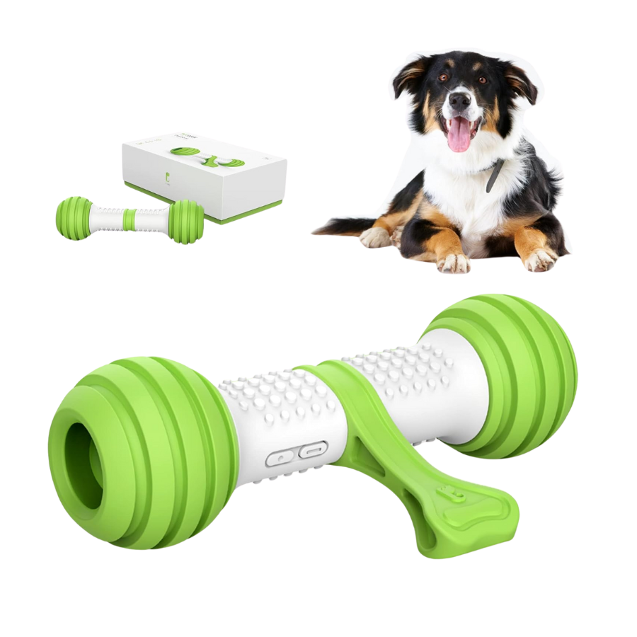 Automatic Dog Bone Toy